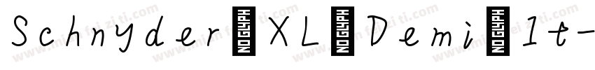Schnyder XL Demi It字体转换